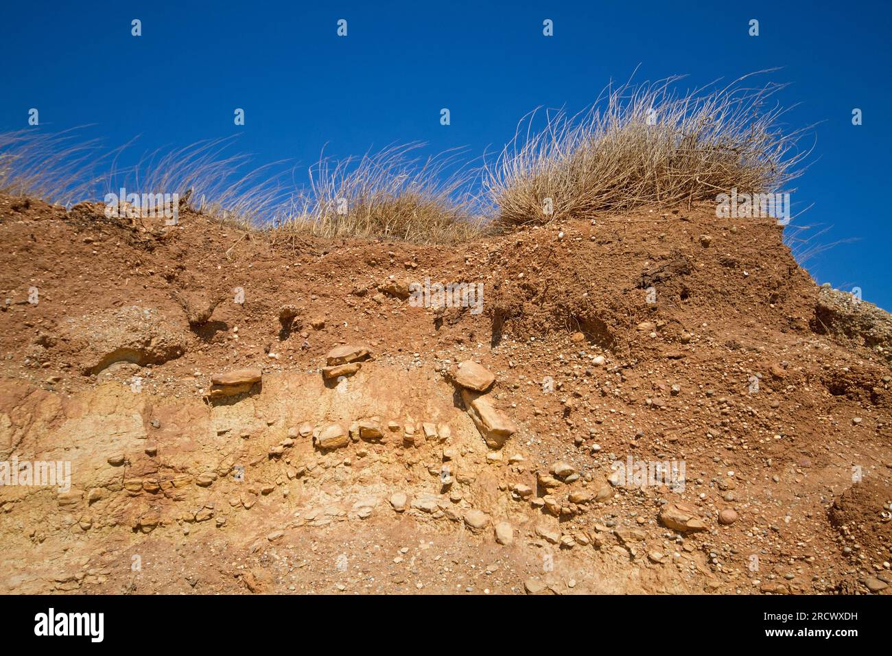 Perfil de suelo pedregoso bajo pastizales en la isla griega Creta bajo un cielo azul Foto de stock