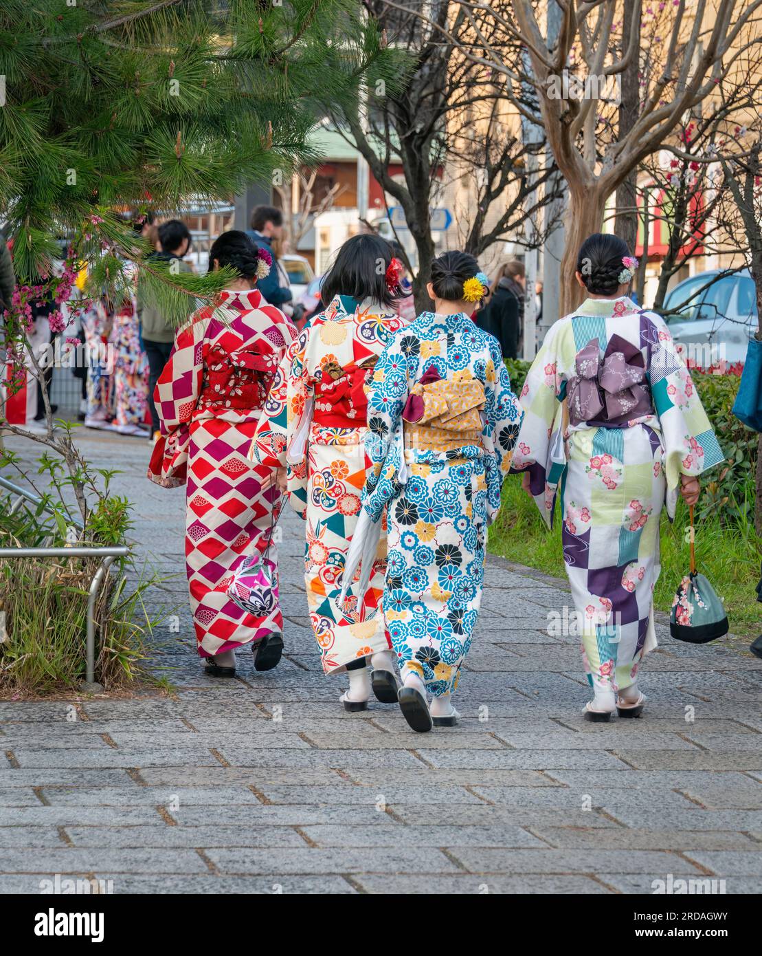 Mujeres jóvenes que llevan el estilo tradicional del kimono de Japón caminando en la concurrida calle de Kyoto. Japón. Formato vertical. Foto de stock