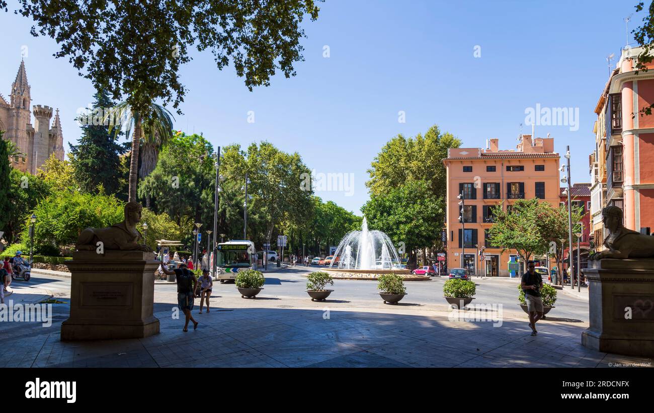 Plaza de la Reina en el centro histórico de Palma de Mallorca en la isla española. Foto de stock