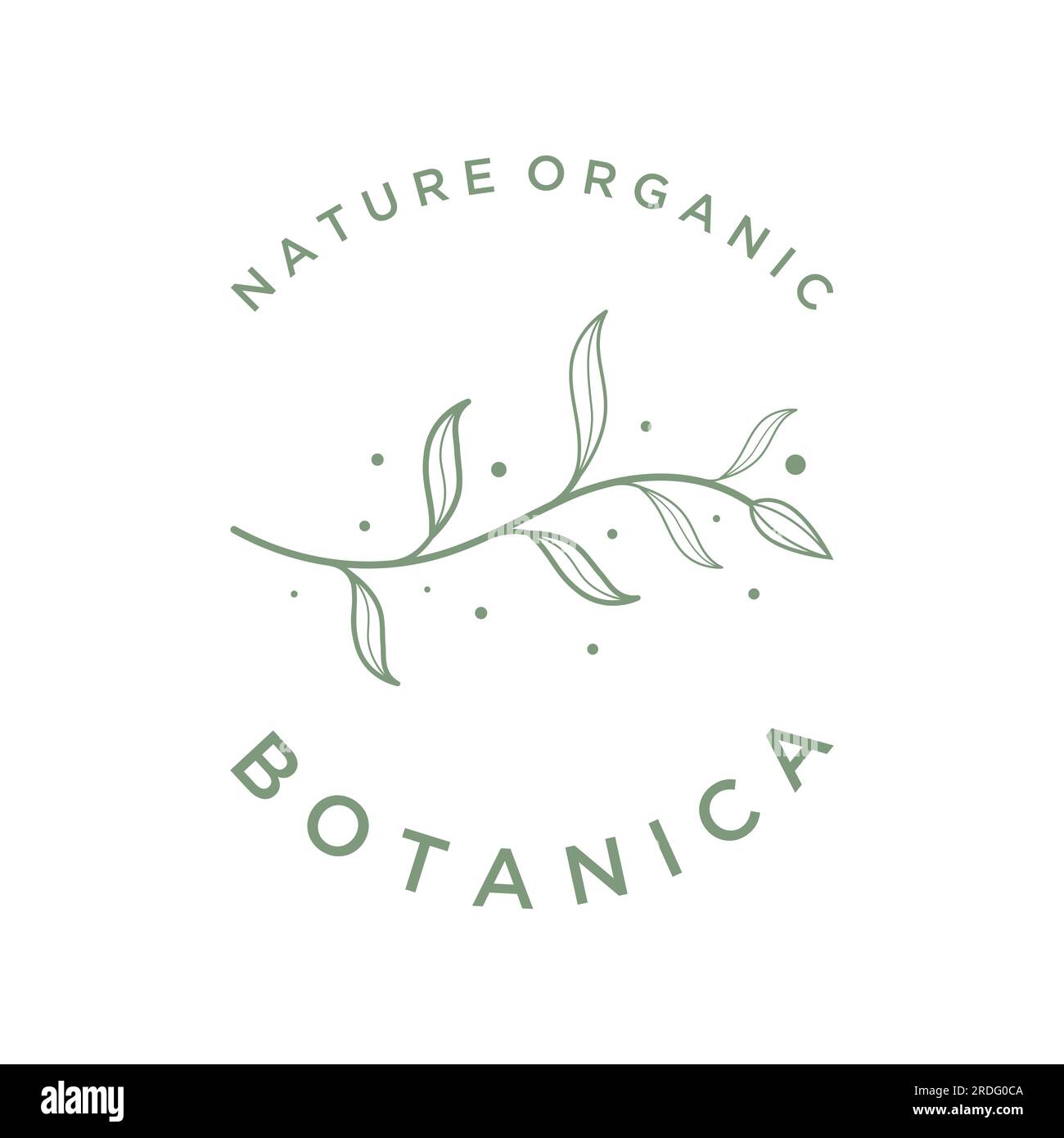 Dibujado a mano logotipo femenino botánico orgánico natural delicado para florista, boda, insignia, fotógrafo y belleza. Ilustración del Vector