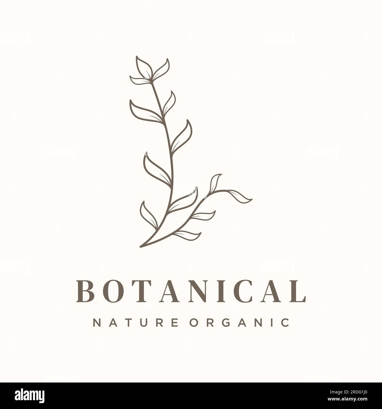 Dibujado a mano logotipo femenino botánico orgánico natural delicado para florista, boda, insignia, fotógrafo y belleza. Ilustración del Vector