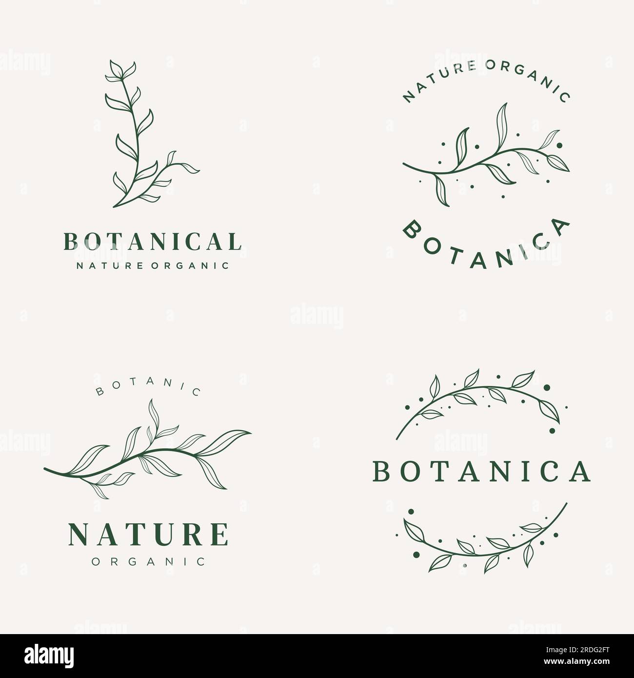 Dibujado a mano logotipo femenino botánico orgánico natural delicado para florista, boda, insignia, fotógrafo y belleza. Ilustración del Vector