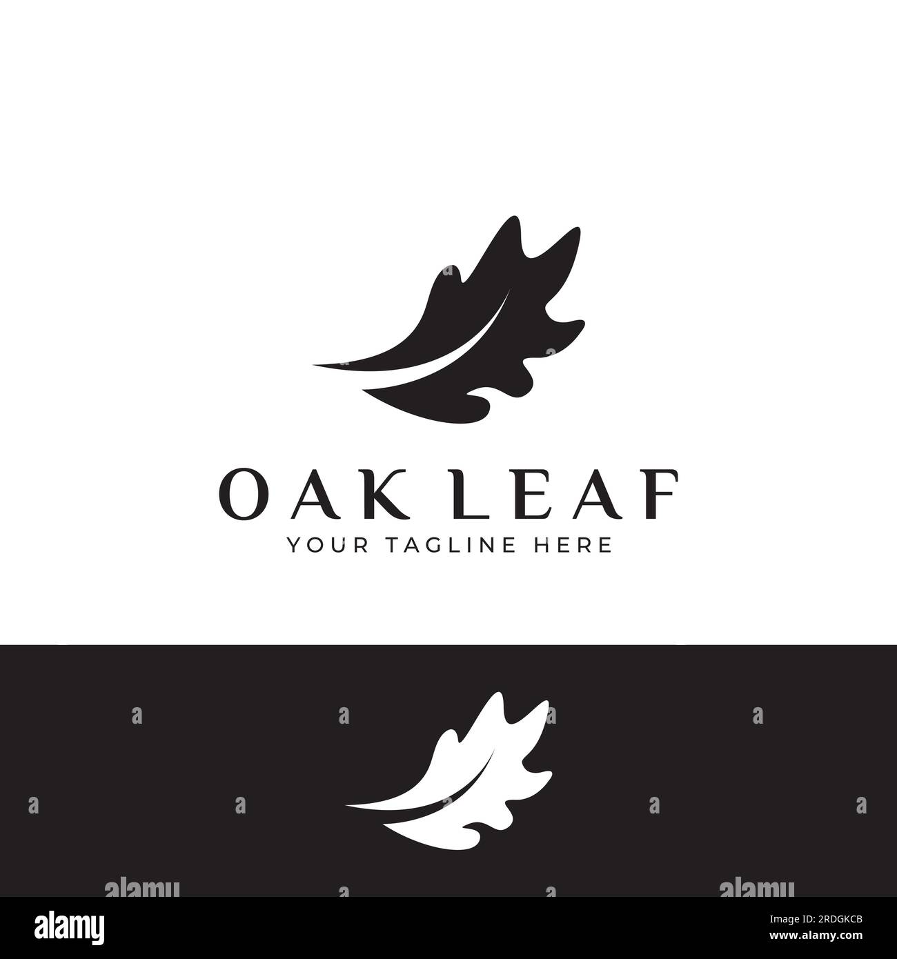 Logotipo de hoja de roble de otoño y logotipo de árbol de roble. Con la edición de ilustración vectorial. Ilustración del Vector