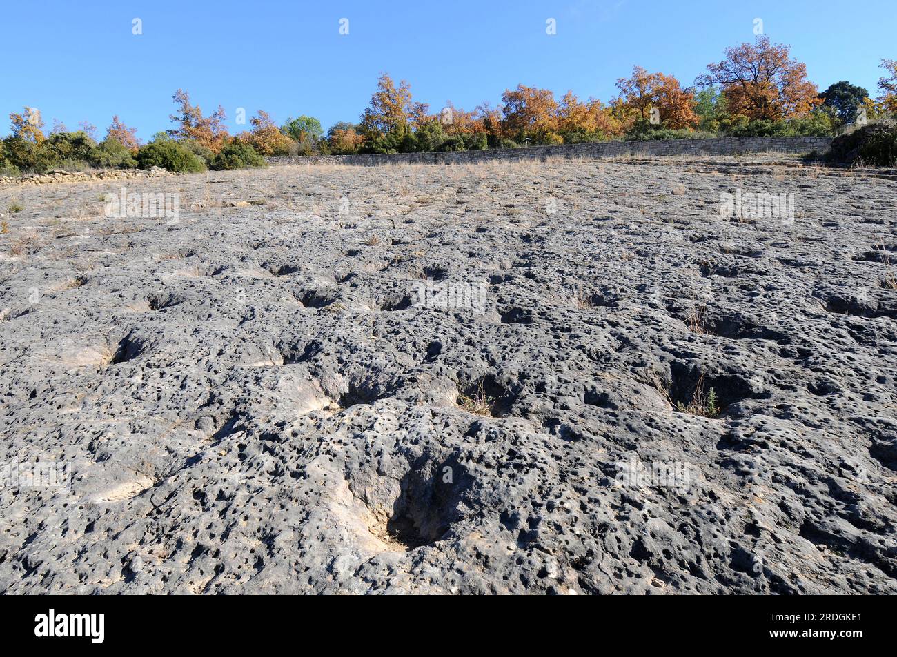 Ichnofósiles o rastros fósiles de rayos que alimentan marcas. Esta foto fue tomada en la Posa, Conca Della, Lleida, Cataluña, España. Foto de stock