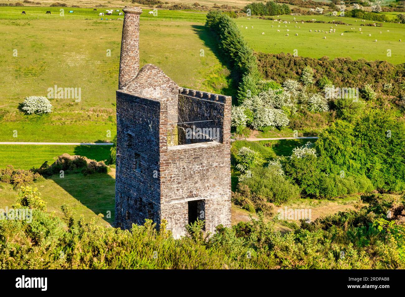 Restos de una antigua casa de máquinas en Dartmoor, Wheal Betsy, cerca de Tavistock, Devon, Reino Unido. Foto de stock