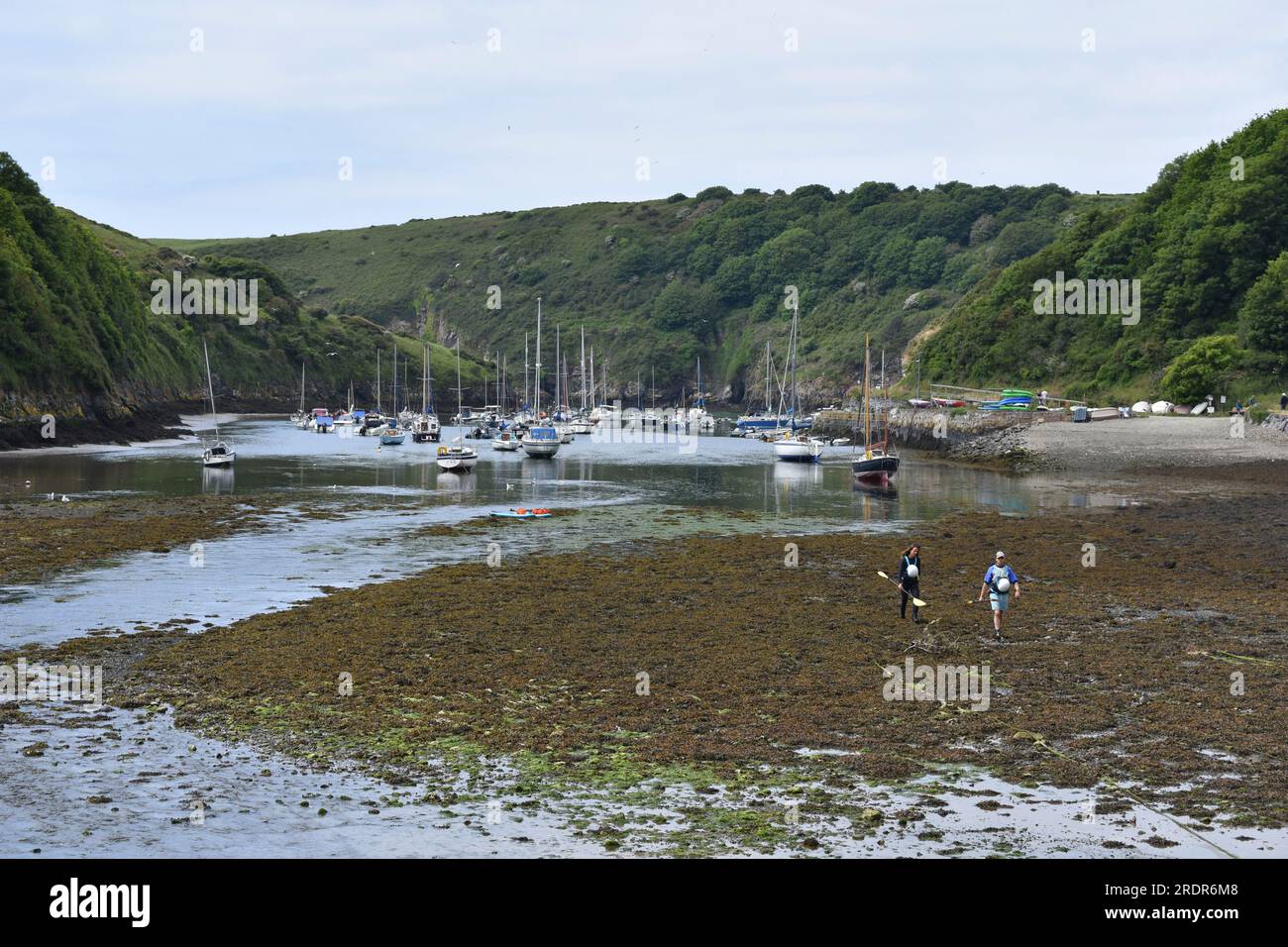 Solva puerto en marea baja, Solva, Pembrokeshire, Gales Foto de stock