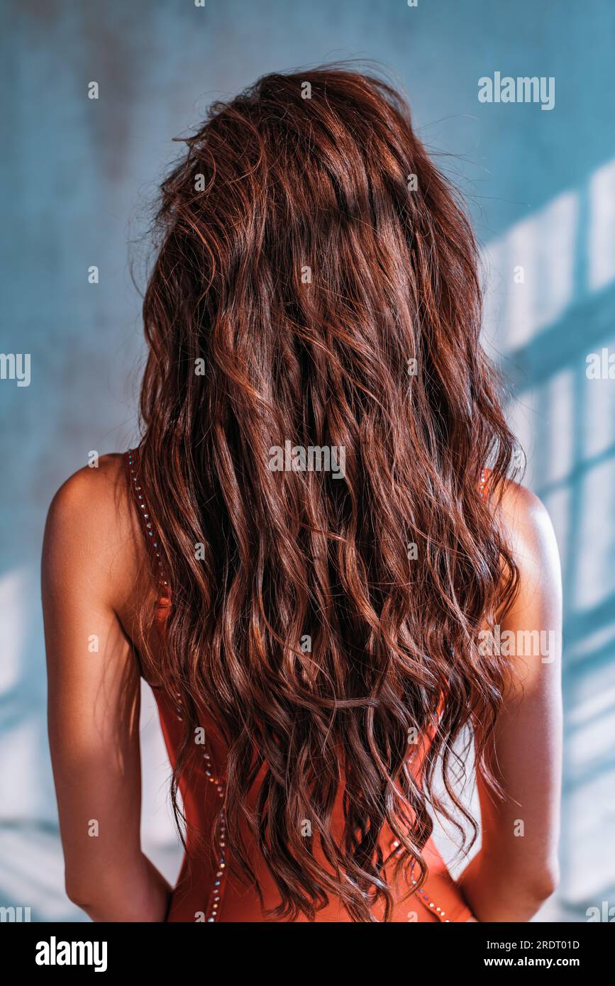Mujer hermoso retrato del día del pelo largo Foto de stock