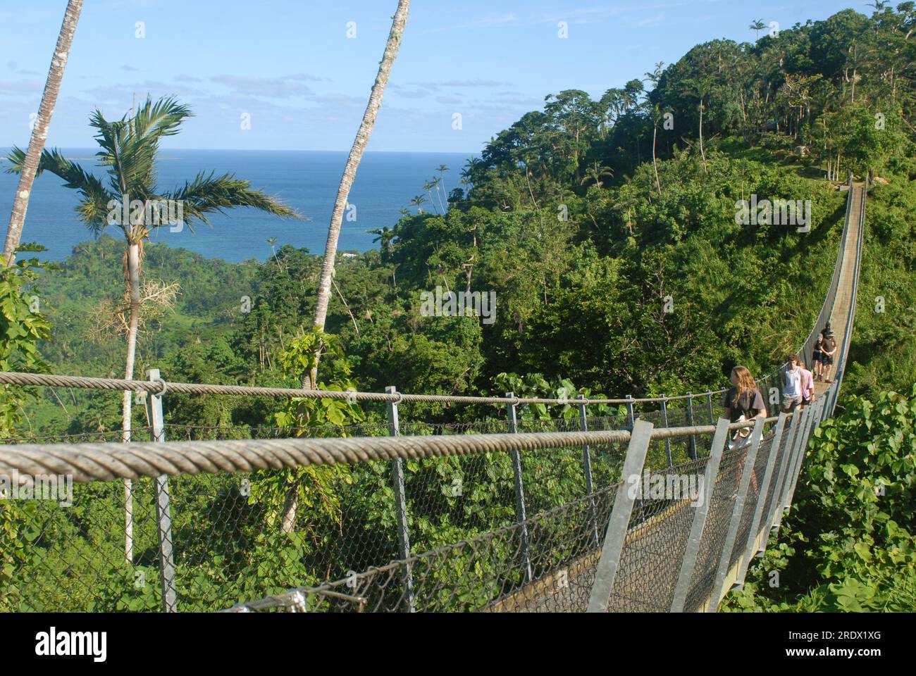 Turistas en el puente del cielo de Vanuatu, Devil's Point Rd, Port Vila, Vanuatu. Foto de stock