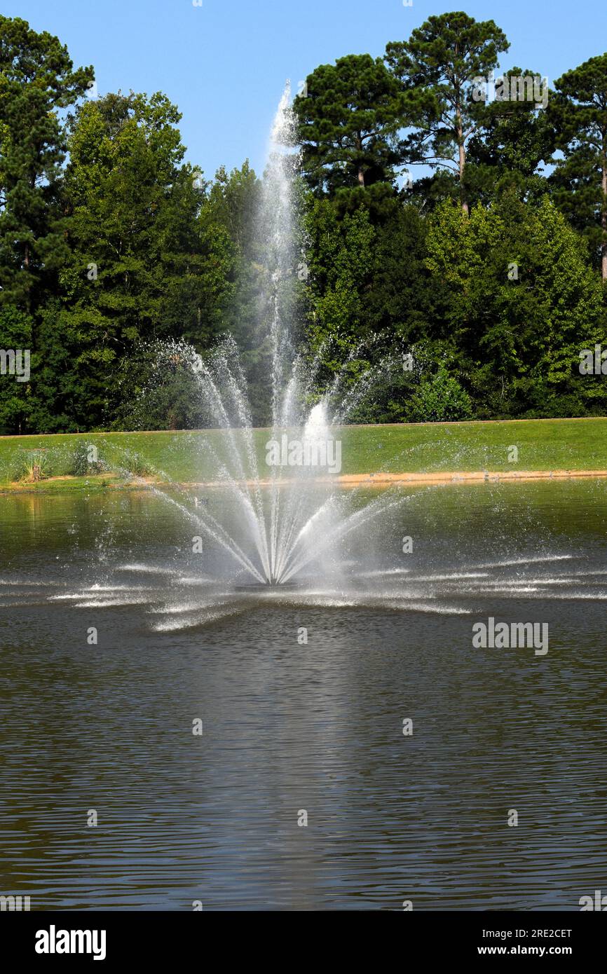 Fuente de agua en el parque. Foto de stock