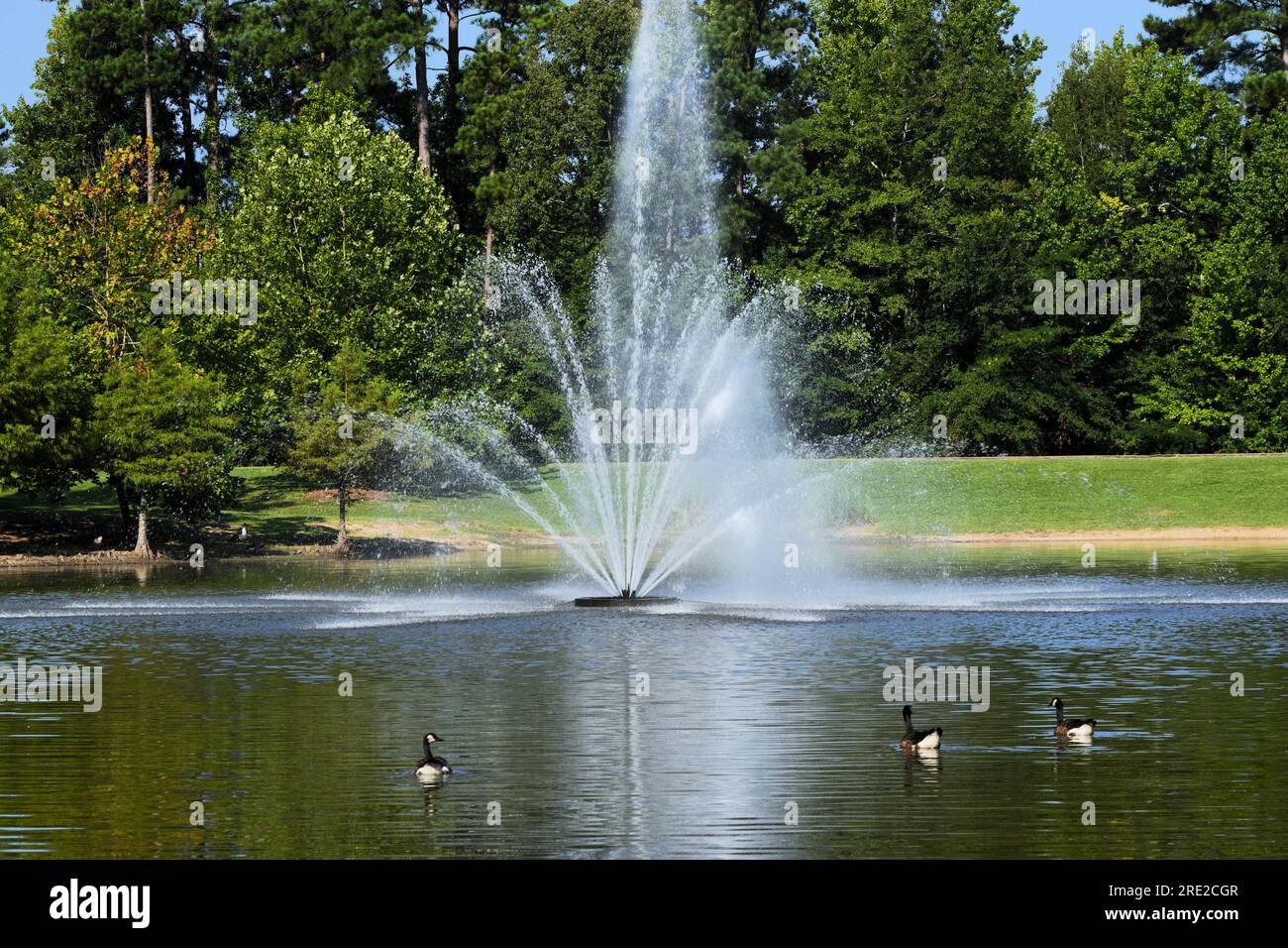 Fuente de agua en el parque. Foto de stock