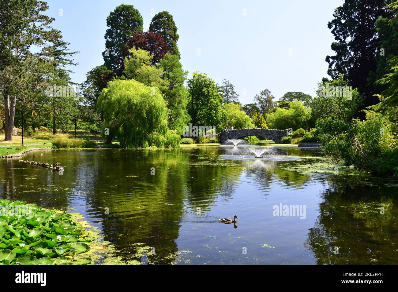 Beacon Hill Park En Victoria Bc Canadá Uno De Los Mejores Lugares