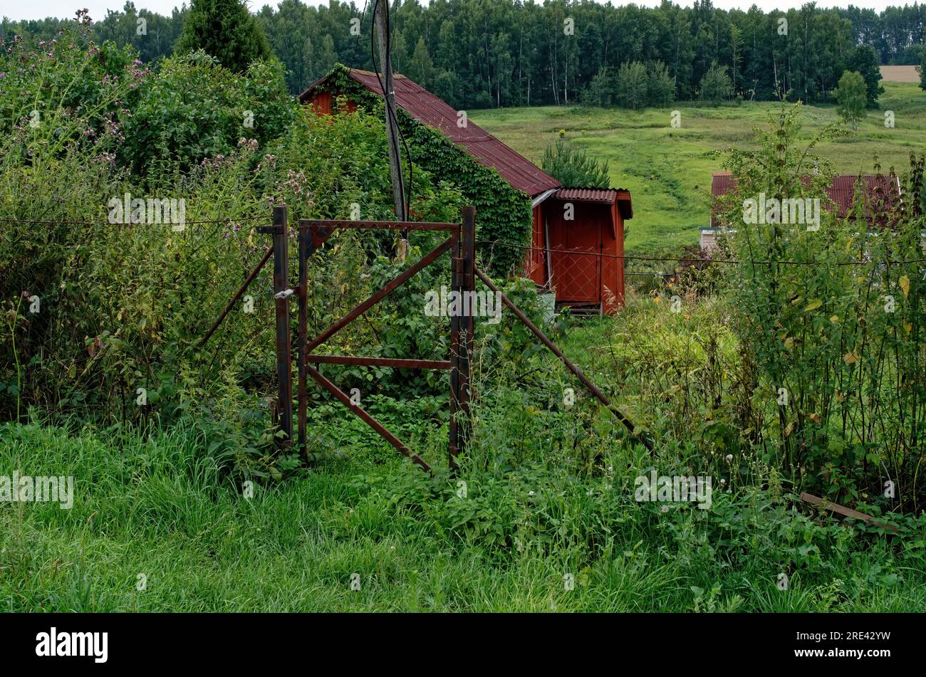 Viejos edificios rurales en verano, Rusia Foto de stock