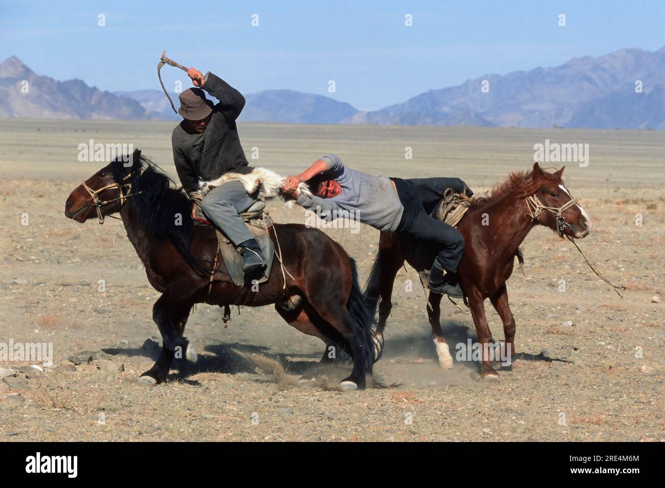 Montaña Altai, Kek Bar, Jinetes compitiendo por una piel de cabra, Festival del Águila Dorada, Bayan Ölgii, Mongolia Foto de stock