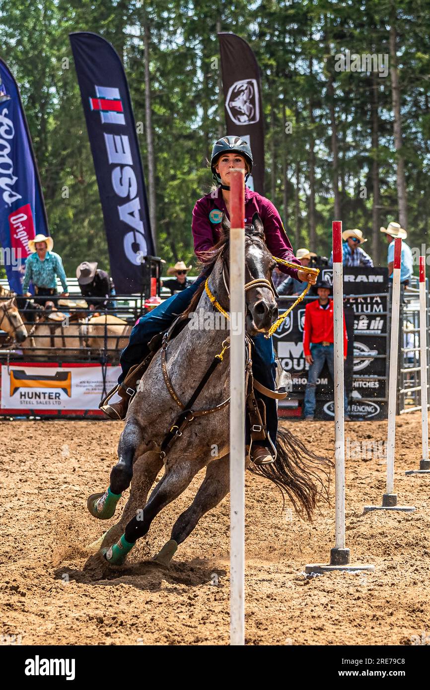 Canadá Ontario. RODEO Ram de ERIN ONTARIO El 2223 de julio en Erin
