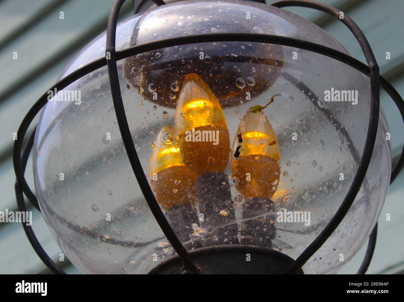 Una foto de cerca de bombillas rodeadas de vidrio con paneles de madera en el fondo. Foto de stock