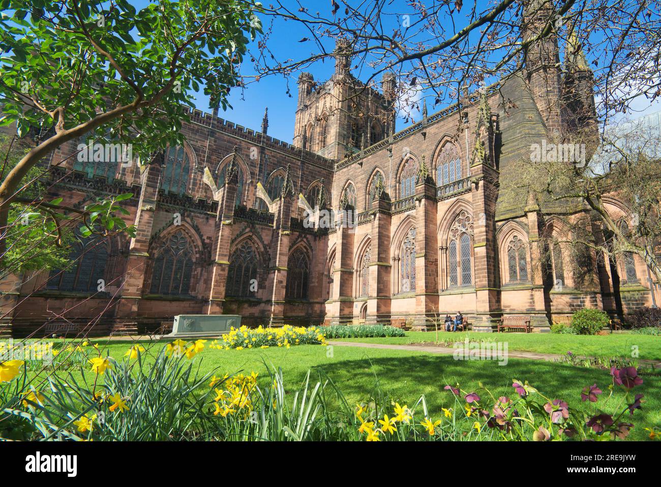 Catedral de Chester en primavera con narcisos en jardines, centro de la ciudad, Chester, Inglaterra, Reino Unido Foto de stock