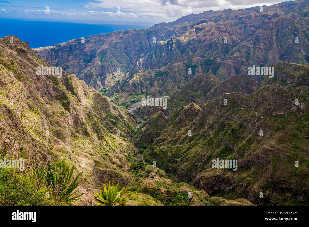 Vegetación rocosa en la isla de San Antao. Cabo Verde. África Foto de stock