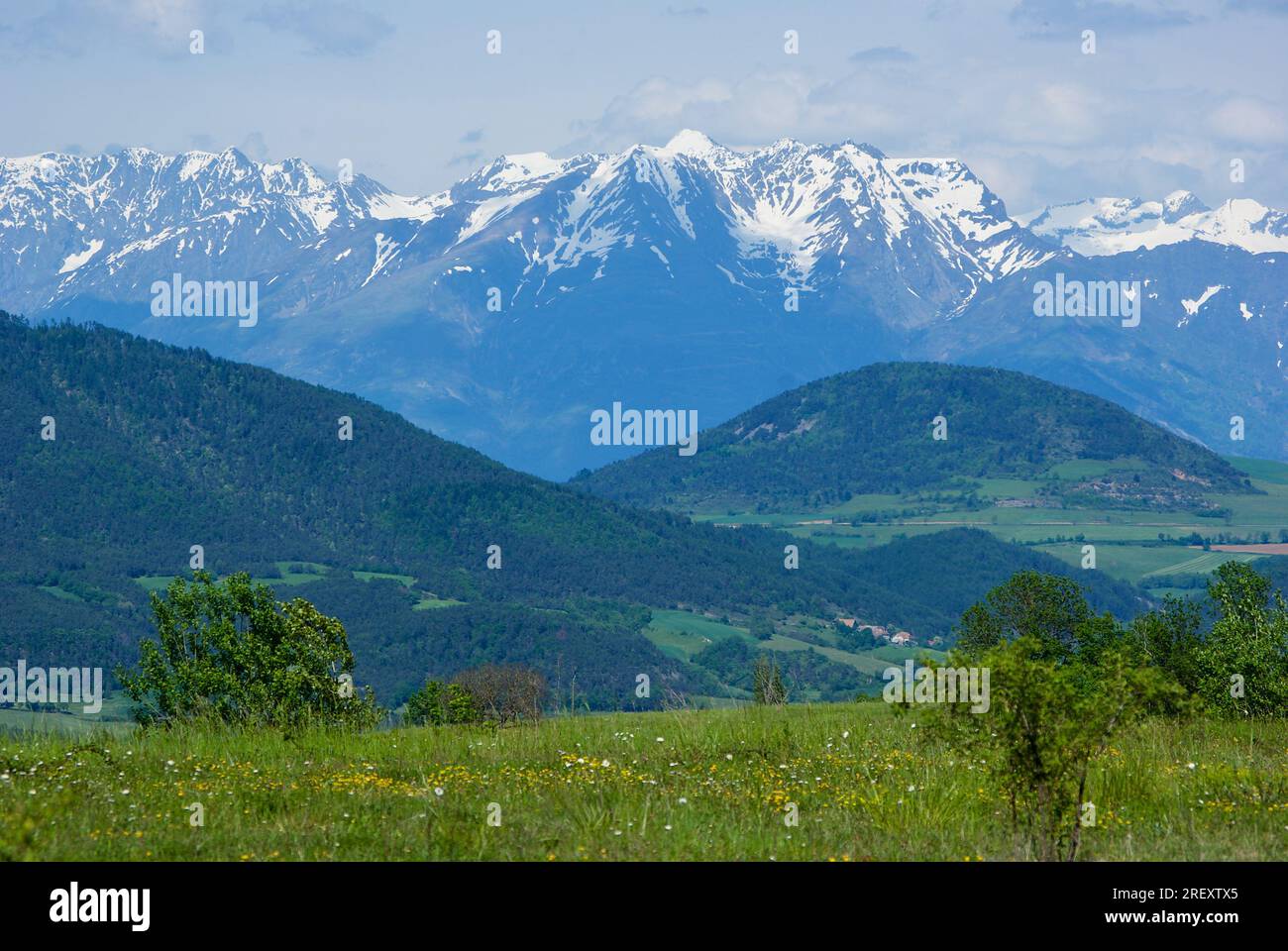 Paisaje con colinas verdes frente a una cadena montañosa nevada en los Altos Alpes en Francia. Foto de stock