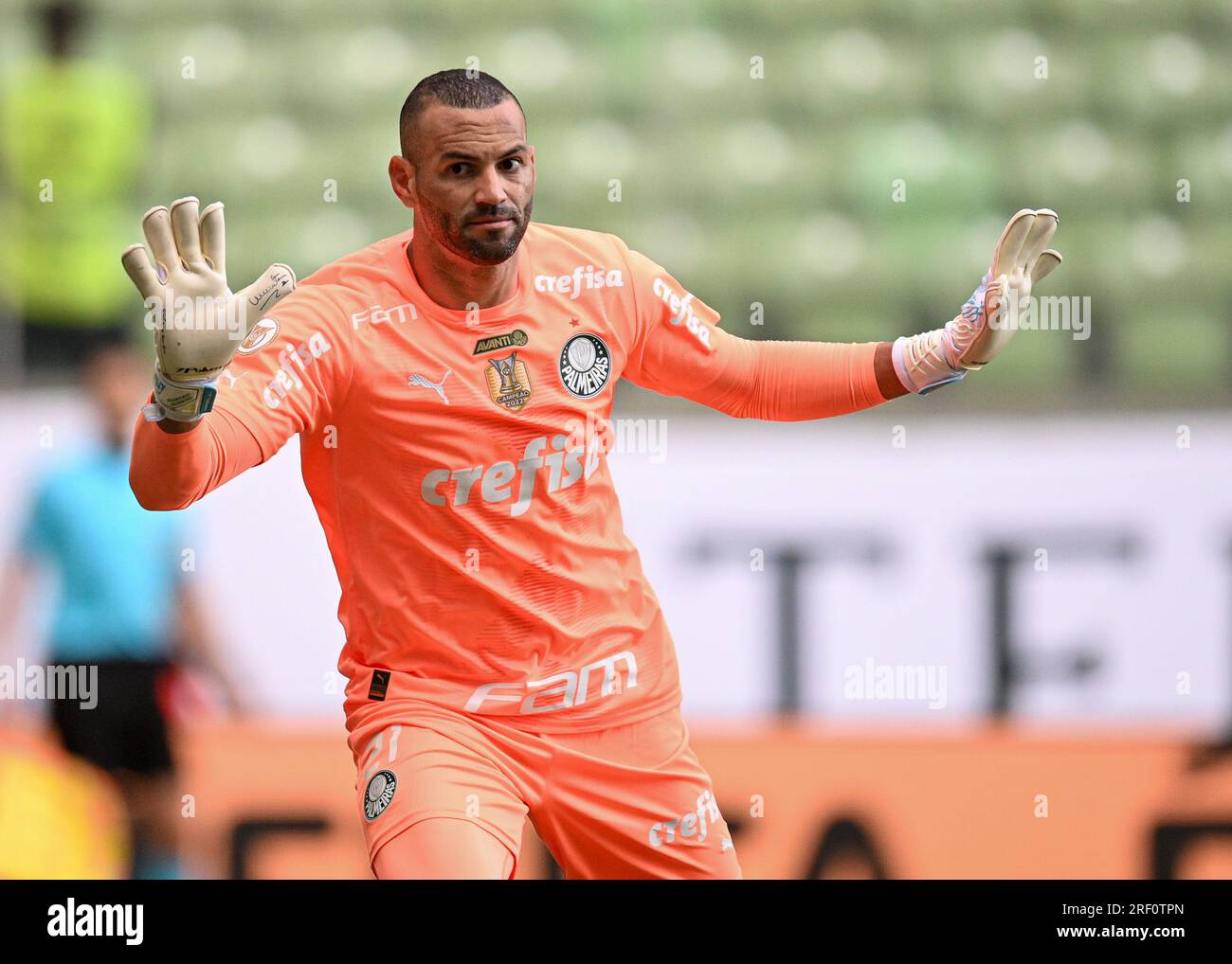 AQUI ESTÁ WEVERTON Y SUS MEJORES ATAJADAS EN EL #BRASILEIRAO 