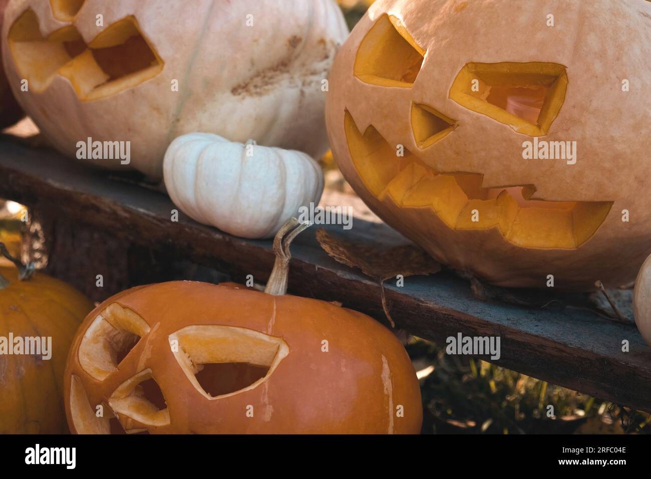 Cabeza de calabaza de Halloween con carita sonriente de miedo