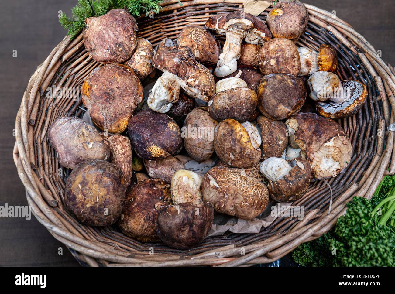 Porcini/Ceps setas orgánicas frescas en la pantalla interior en rústica canasta en la especialidad de alta calidad del mercado de Borough delicatessen en Southwark, Londres, Gran Bretaña. Foto de stock