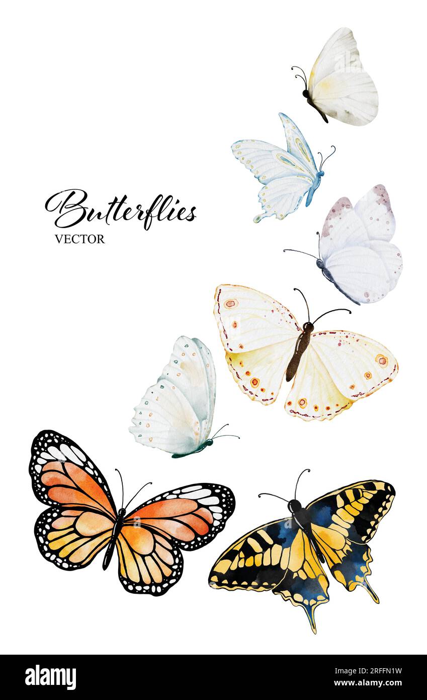 Colección de mariposas de acuarela, elementos de mariposa Vector aislados sobre fondo blanco. adecuado para decorar en su diseño. Ilustración del Vector