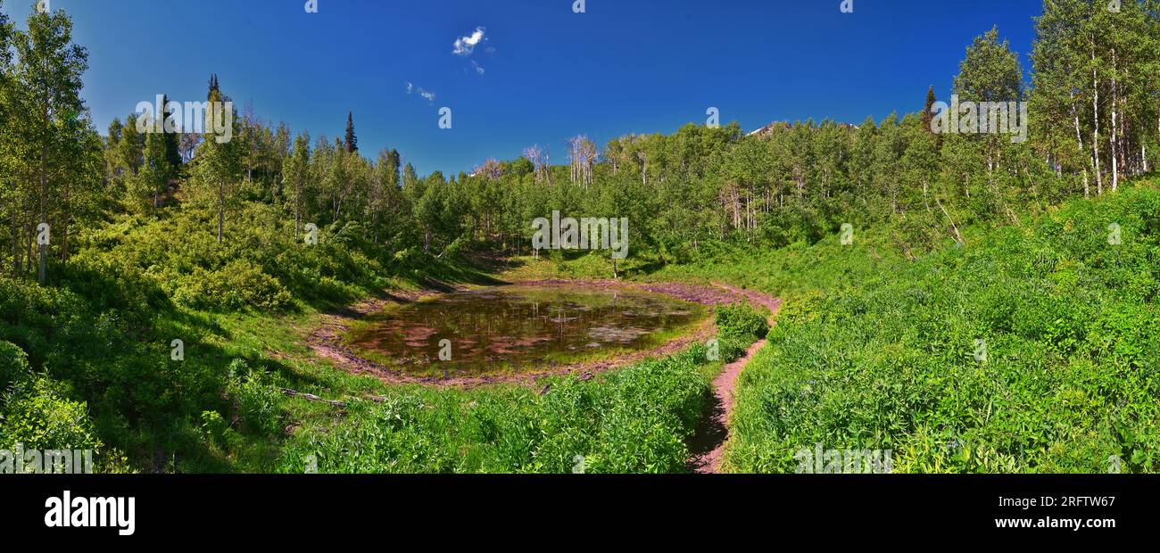 El paisaje de Wasatch Mountain desde Primrose domina el sendero Horse Spring por las Montañas Rocosas de Timpanogos, Utah. Estados Unidos. Foto de stock