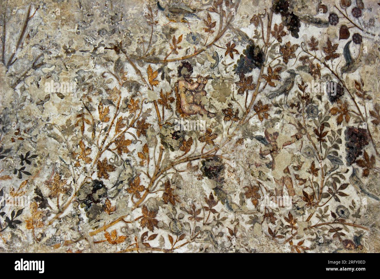 Fresco en el biclinio, o comedor de la pequeña Petra, Jordania que representa uvas, viñas y putti con gran detalle en el estilo helenístico Foto de stock