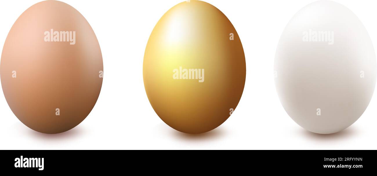 3 huevos, oro, blanco y marrón, aislado en fondo blanco, ilustración vectorial Ilustración del Vector