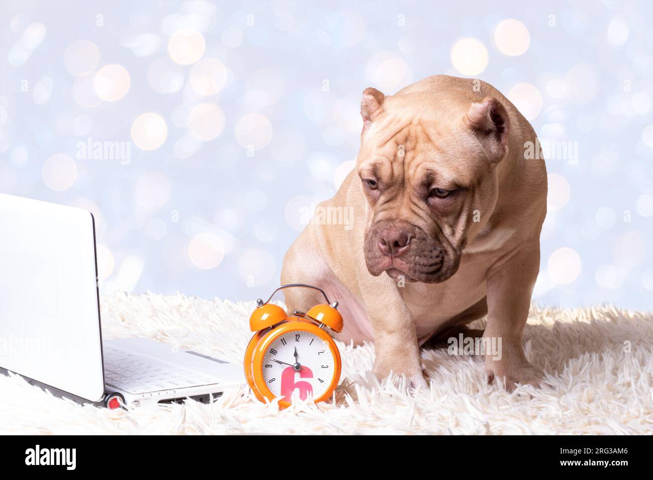 Reloj de online entrenamiento online