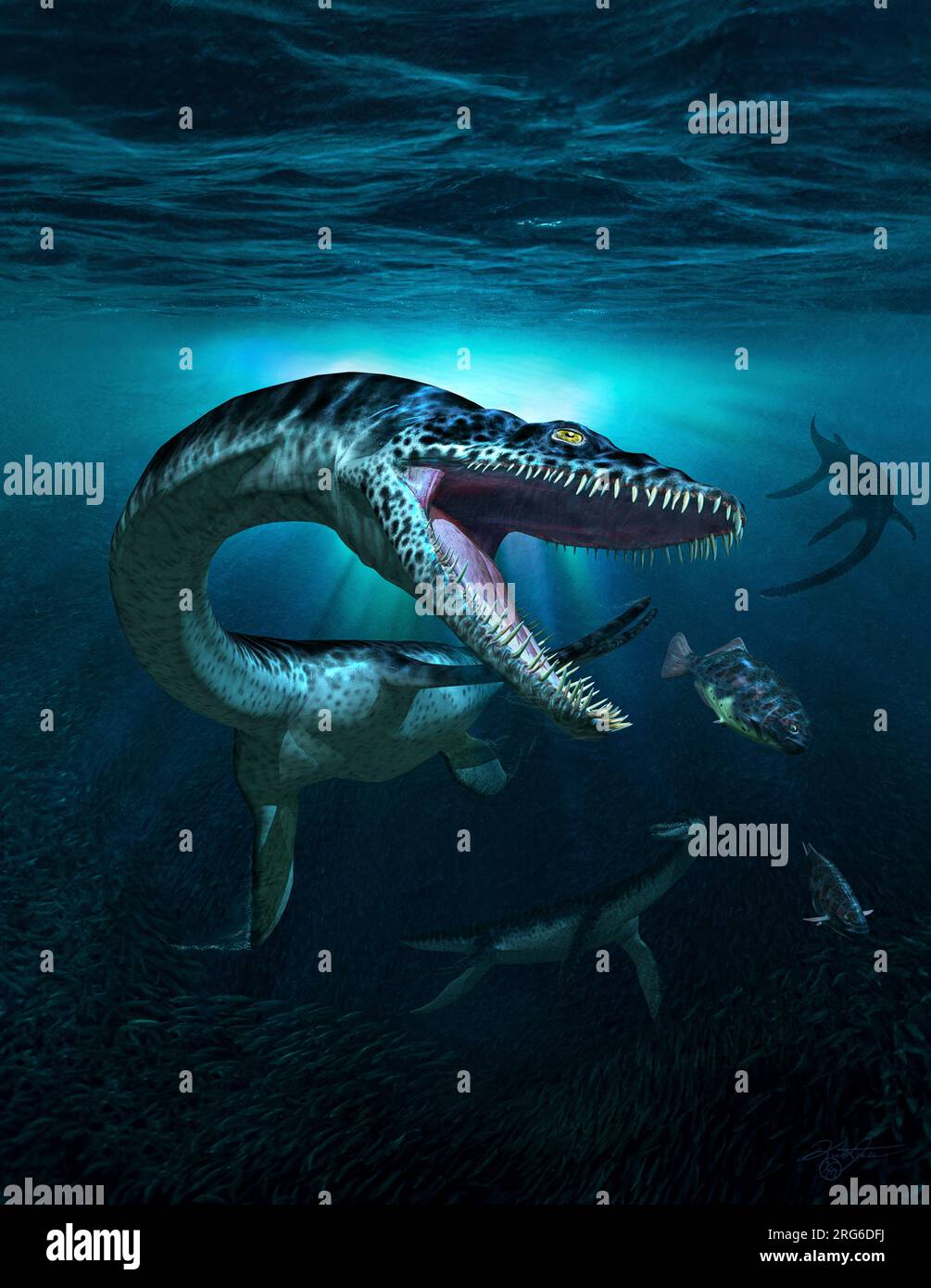 Plesiosaurus reptil prehistórico hutning peces. Foto de stock