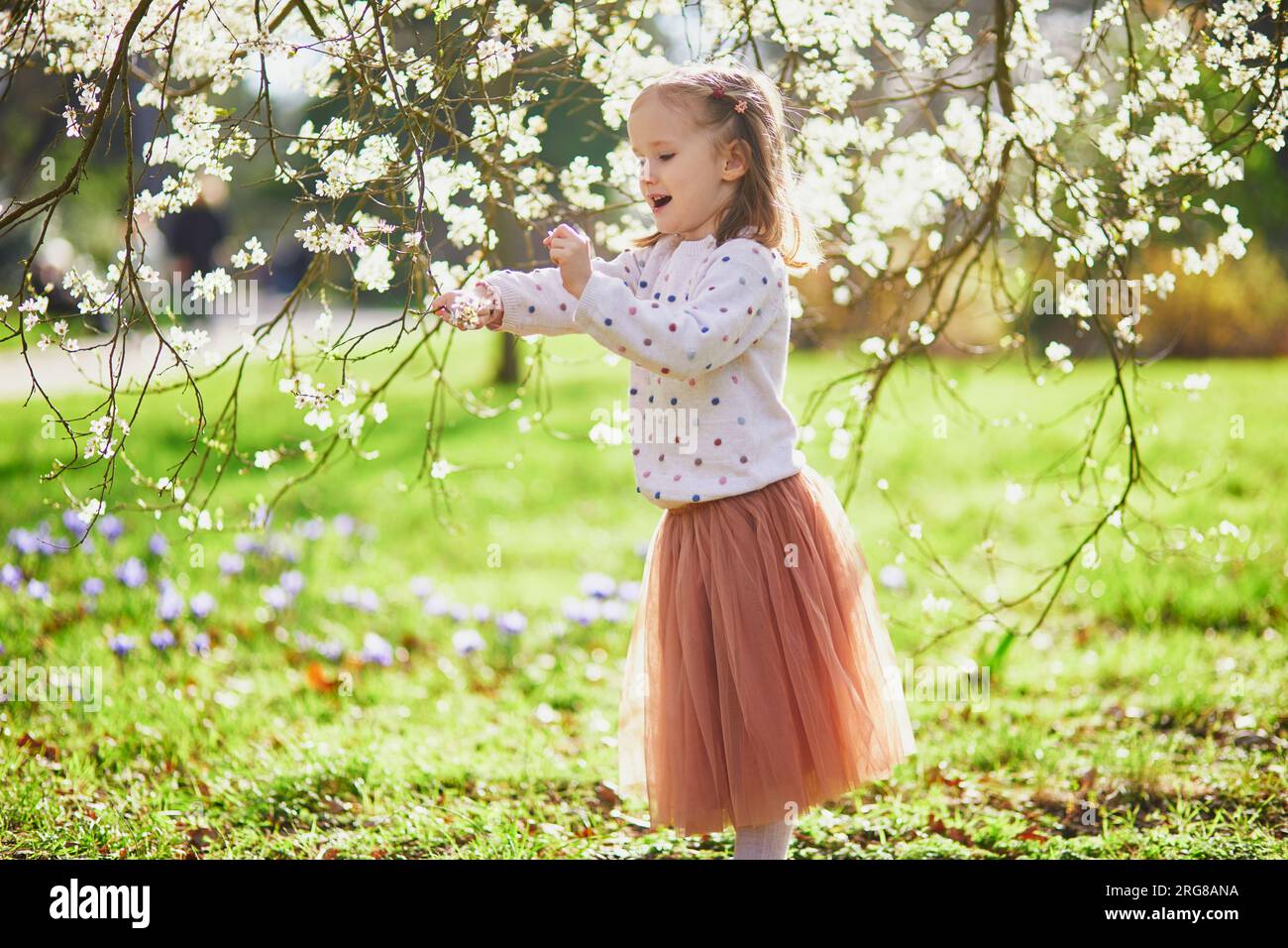 Adorable niña disfrutando de agradable y soleado día de primavera cerca del manzano en plena floración. Actividades de primavera al aire libre para niños Foto de stock