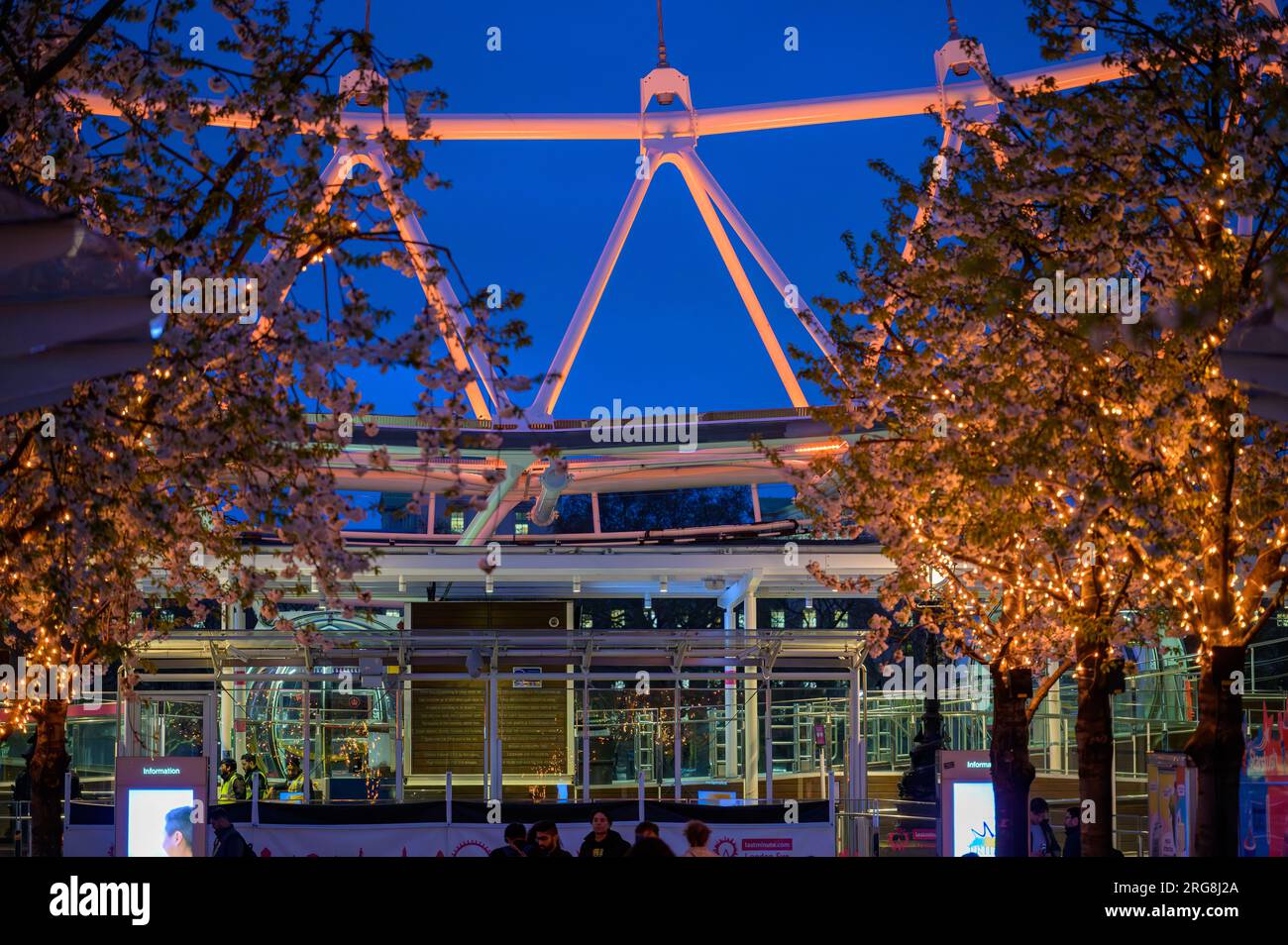 LONDRES - 22 de abril de 2023: El área de embarque del London Eye resplandece en naranja para el Día de Stephen Lawrence, enmarcado por árboles en primer plano iluminados con naranjos al final de la tarde Foto de stock