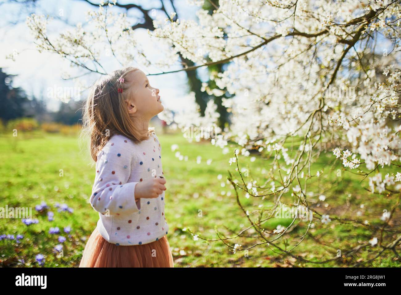 Adorable niña disfrutando de agradable y soleado día de primavera cerca del manzano en plena floración. Actividades de primavera al aire libre para niños Foto de stock