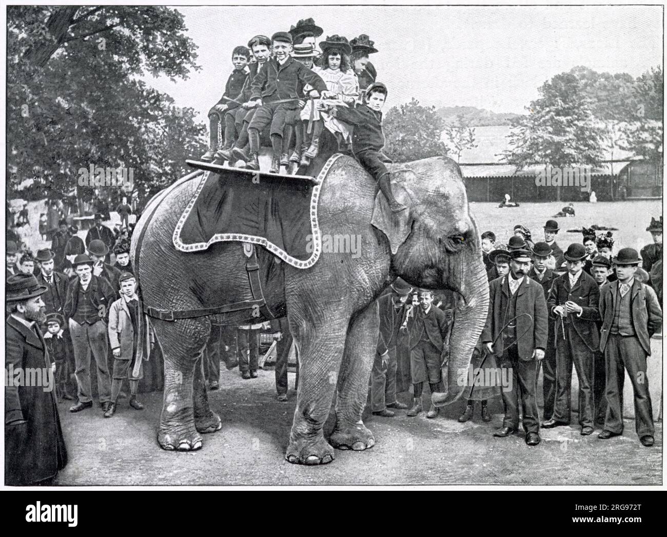 Dos peniques cada vez en el Regent's Park Zoo en el noroeste de Londres. Foto de stock