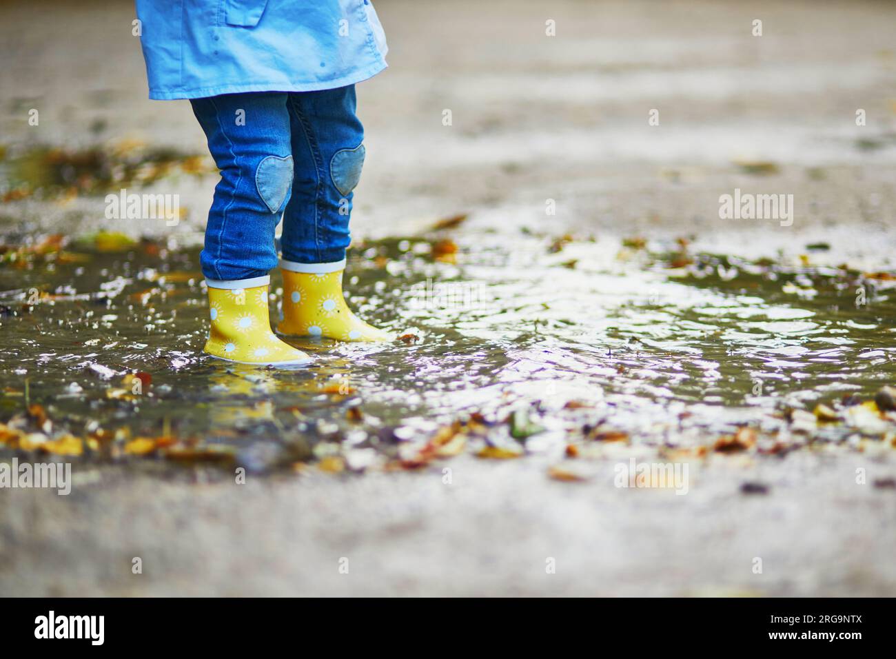 Niño con capa impermeable amarilla y botas de goma negras de pie en un  charco al aire libre bajo la lluvia en otoño.