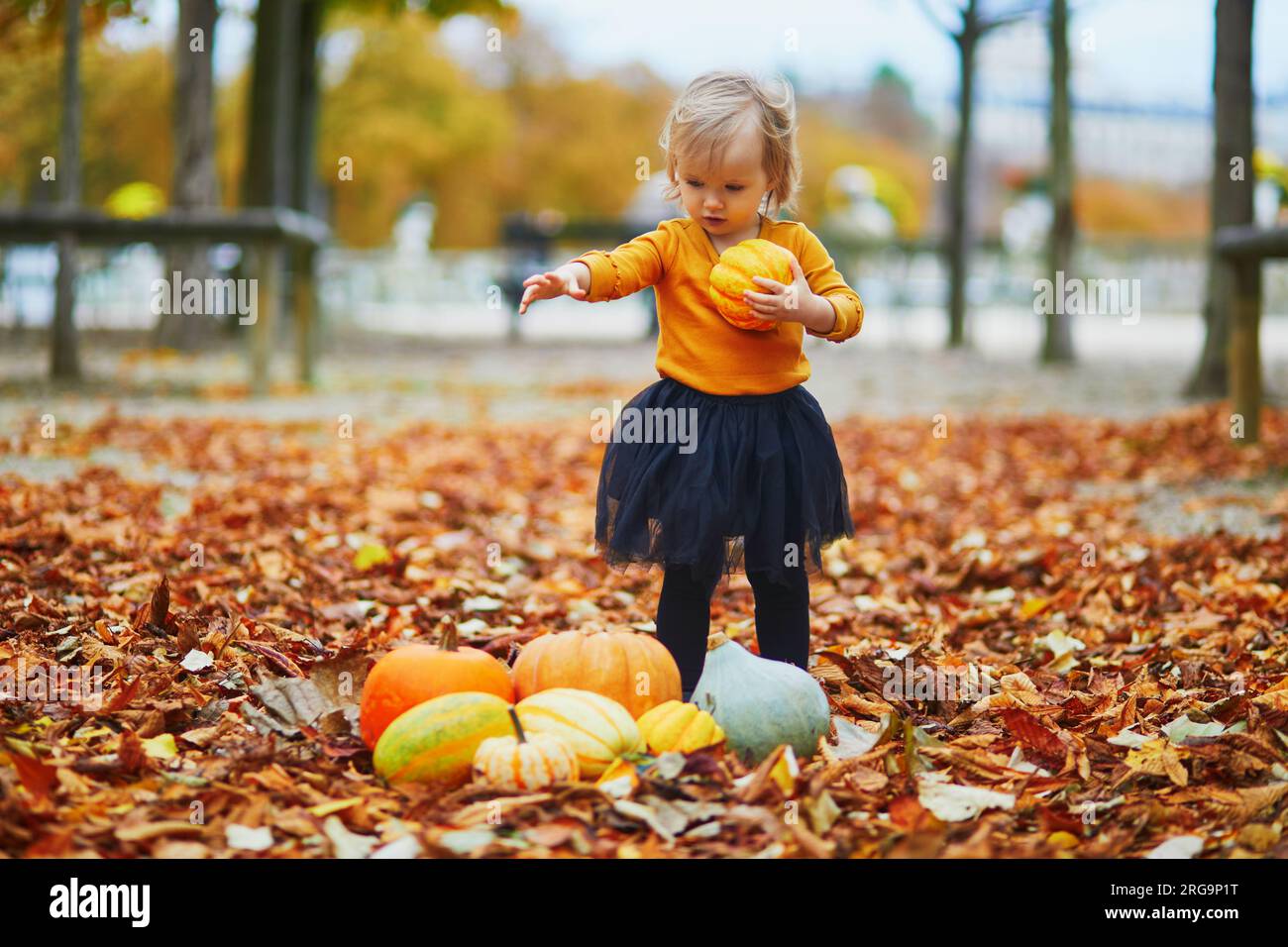 Niña adorable en camiseta naranja y tutú negro jugando con calabazas  coloridas acostadas en el suelo en hojas caídas de otoño naranja. Niño  feliz ce Fotografía de stock - Alamy
