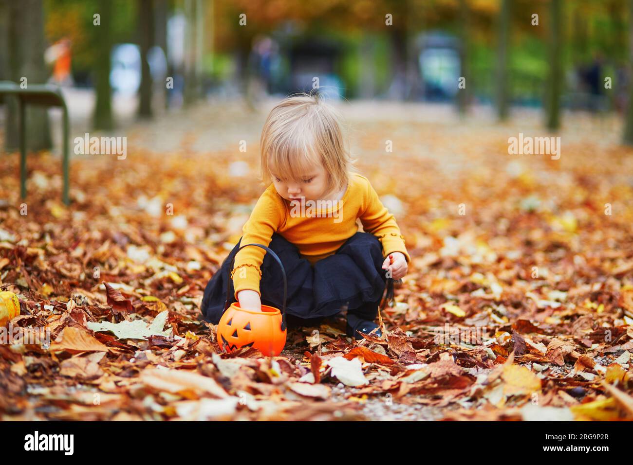 Niña adorable en camiseta naranja y tutú negro jugando con calabazas  coloridas acostadas en el suelo en hojas caídas de otoño naranja. Niño  feliz ce Fotografía de stock - Alamy