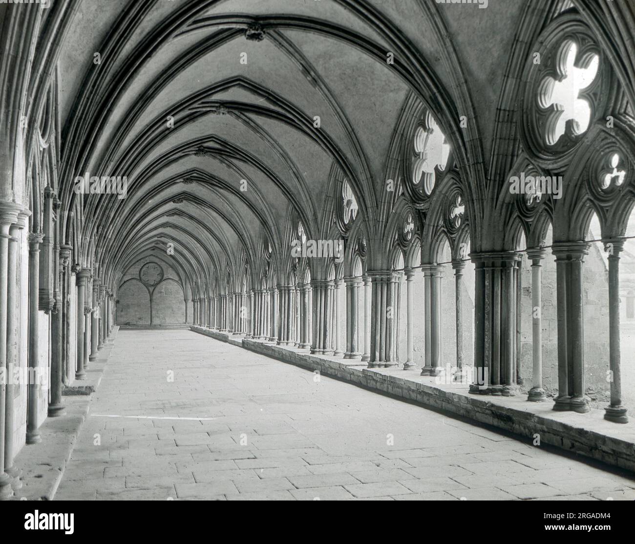 The Cloisters, East Walk, Salisbury Cathedral, Wiltshire Foto de stock
