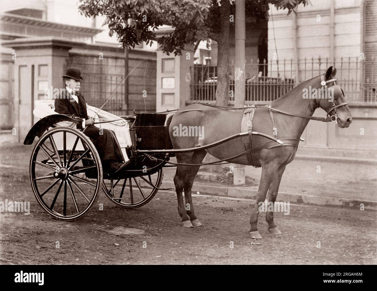 Fotografía Vintage del siglo xix, India - El hombre europeo con un pony y la Trampa Foto de stock