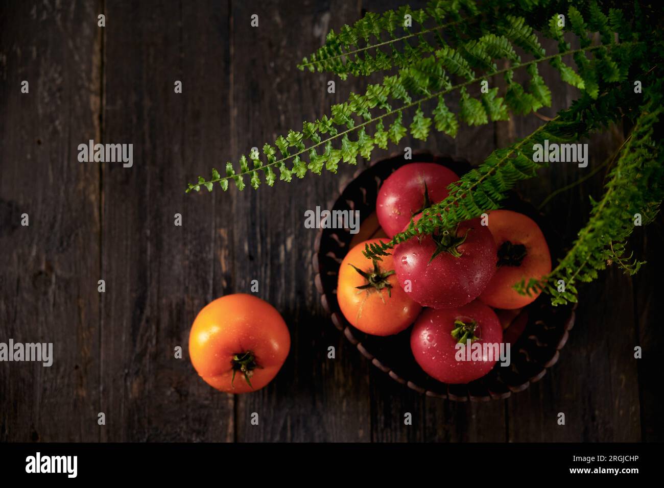 Capa superior de tomates con gotas de rocío en una cesta de madera en una mesa de madera con hojas de helecho Foto de stock