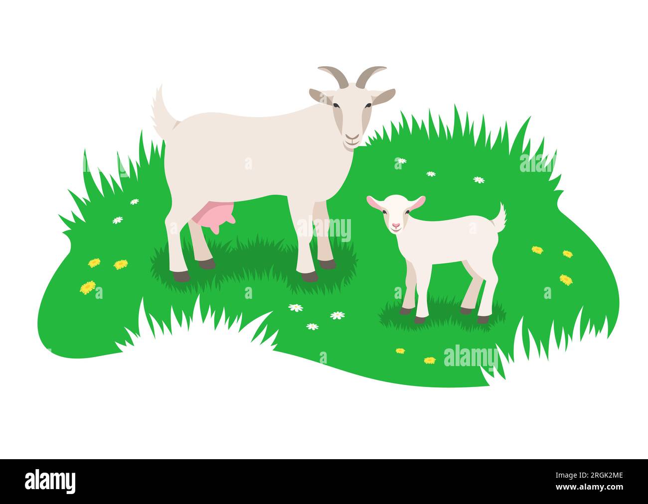 Cabra blanca y su pequeño niño pastando en prado verde. Ilustración vectorial plana simple Ilustración del Vector