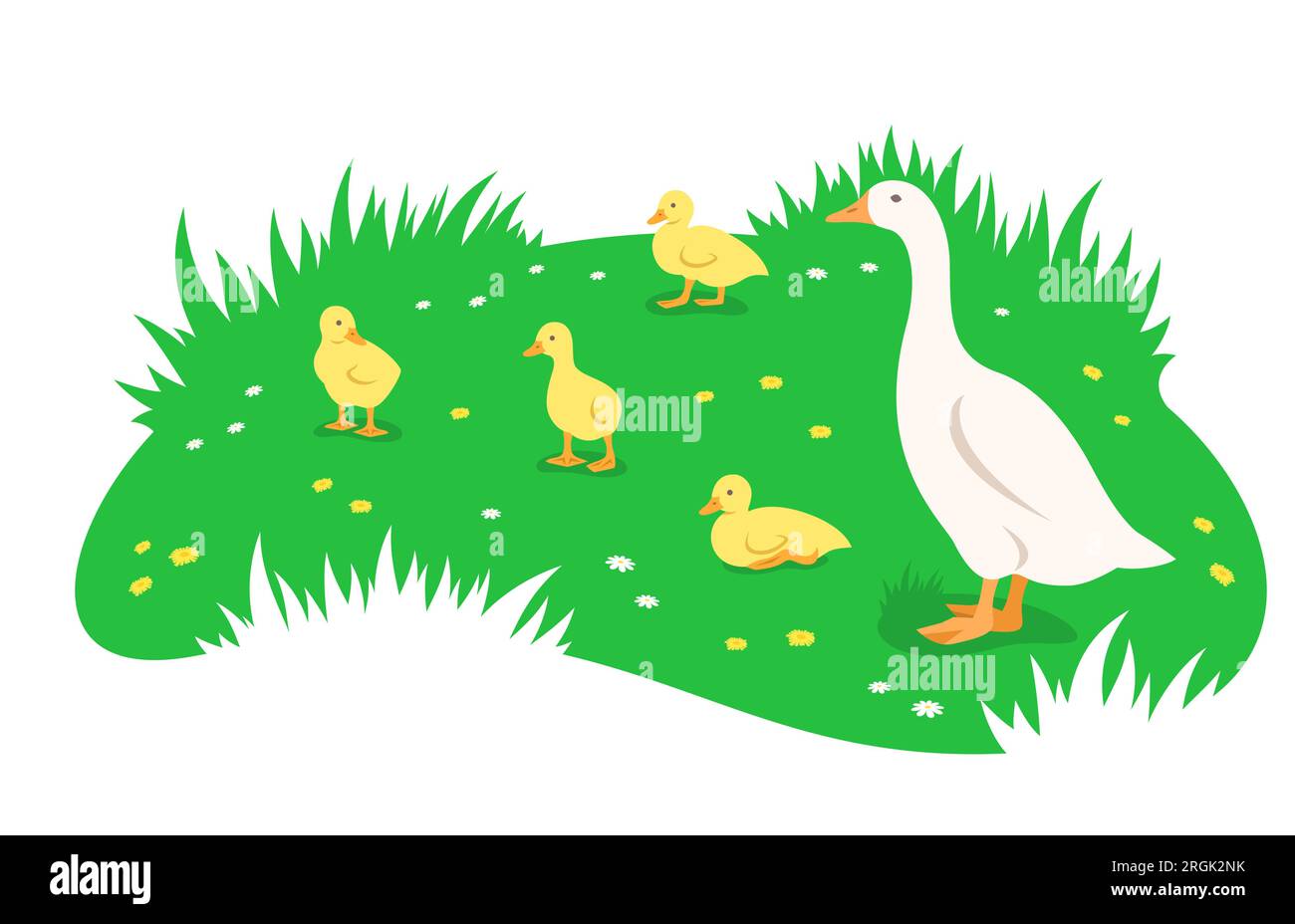 Madre de ganso y sus pequeños goslings lindos en diferentes poses pastando en el prado verde. Ilustración plana simple Ilustración del Vector
