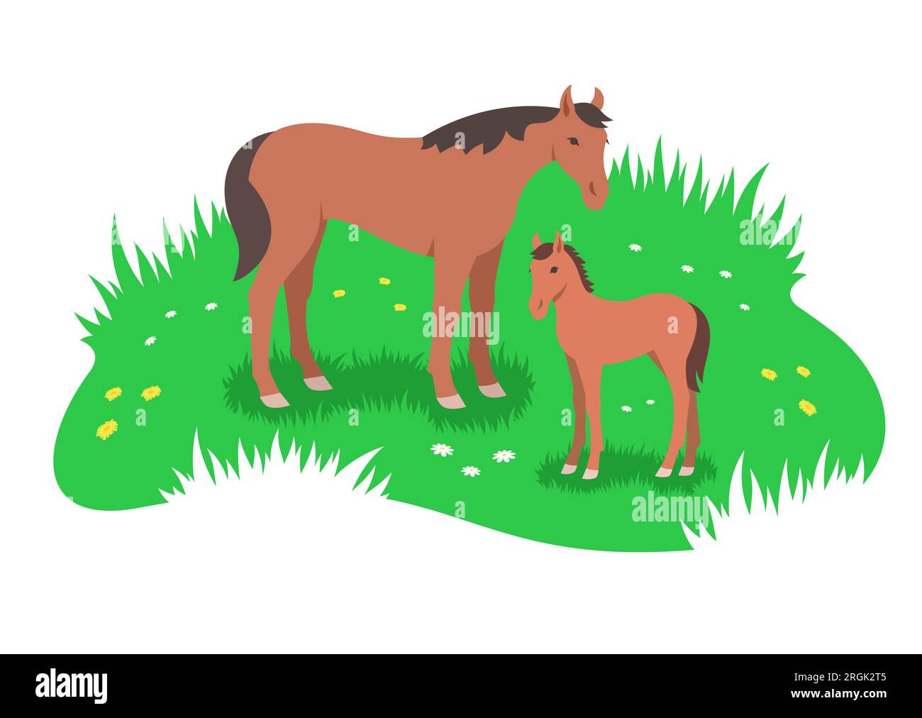 Caballo marrón y su pequeño potro grasing en el prado de flores verdes. Simple ilustración plana estilizada Ilustración del Vector
