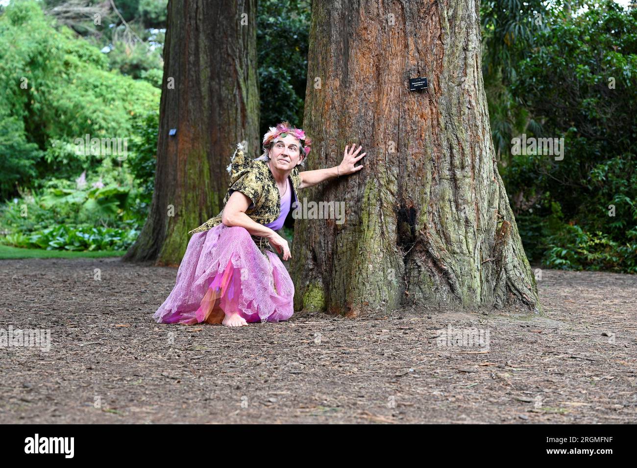 Edimburgo, Escocia, Reino Unido. 10º de agosto de 2023. Edimburgo Fringe: Hada vista en el Real Jardín Botánico de Edimburgo, la escritora y artista ganadora del Oscar Celeste Lecesne entre el bosque. Celeste escribió el cortometraje Trevor, que ganó un premio de la Academia al Mejor Cortometraje de Acción en Vivo. ¡Mostrar poof! Corriendo en el Gilded Balloon Teviot. Crédito Craig Brown/Alamy Live News Foto de stock