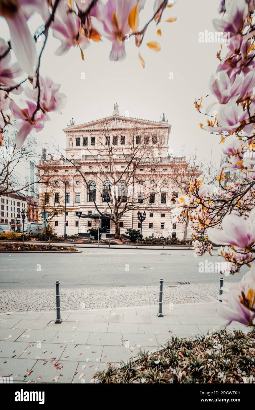 Antigua Ópera en Frankfurt am Main por la mañana. Hermosa foto del edificio histórico en Alemania con flores Foto de stock