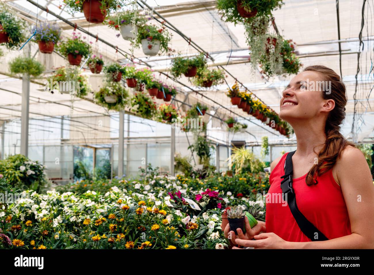 Mujer morena joven que elige plantas y flores en vivero de plantas. Comprar plantas para la casa. Foto de stock