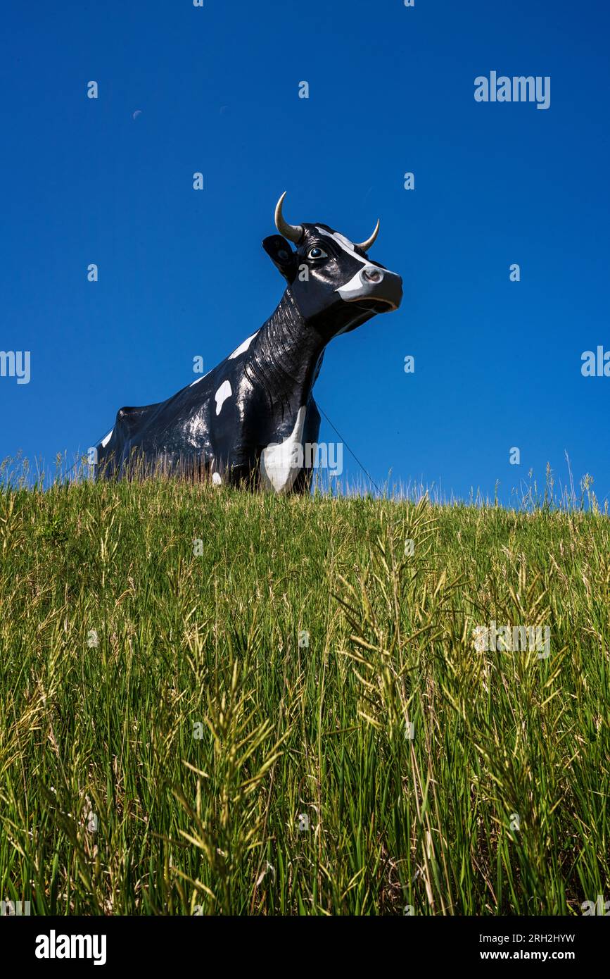 La imponente escultura conocida como Salem Sue en New Salem, Dakota del