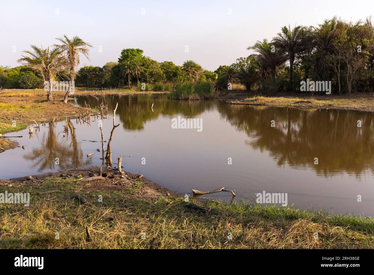 Vista del paisaje de los humedales, Marakissa, Gambia, marzo Foto de stock