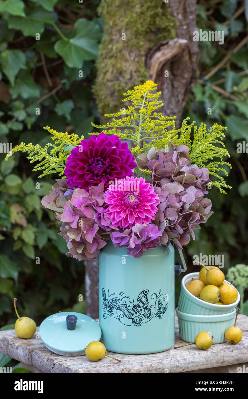 arreglo floral con ramo de dalias rosadas y flores de hortensia en lata de leche vintage Foto de stock